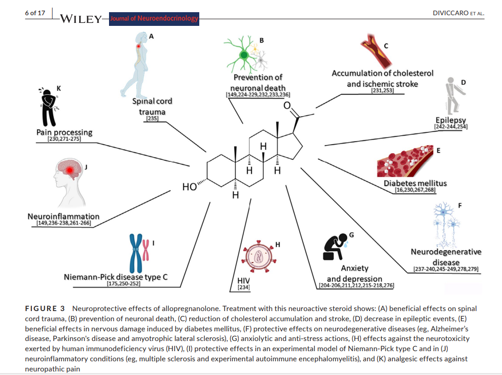 allopregnanolone.png