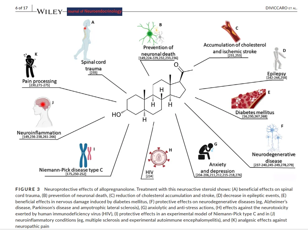 allopregnanolone.webp