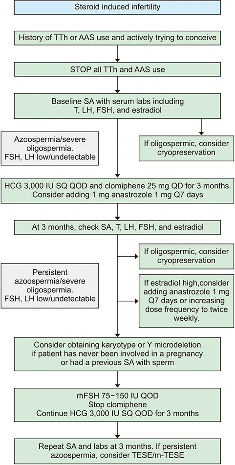 anabolic steroid PCT restart fertility.webp