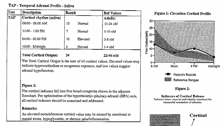 cortisol chart.webp