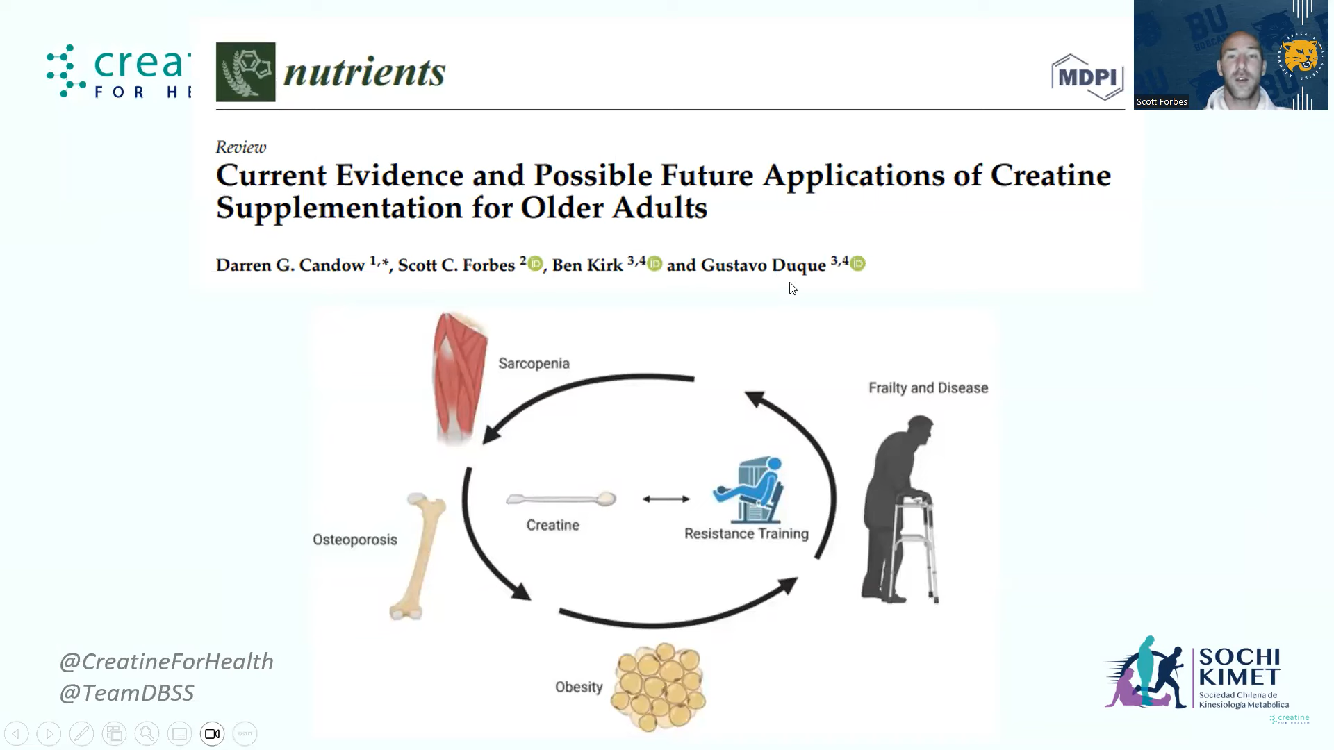 creatine in aging.png