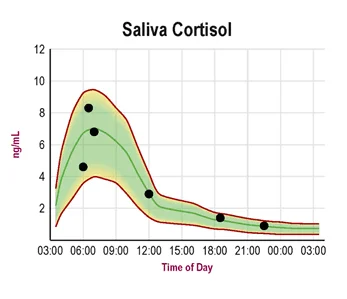 diurnal cortisol in saliva.webp