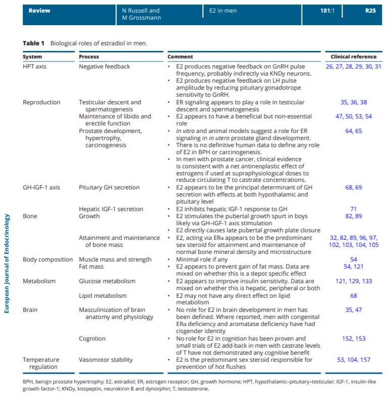 estradiol as a male hormone estudies.jpg