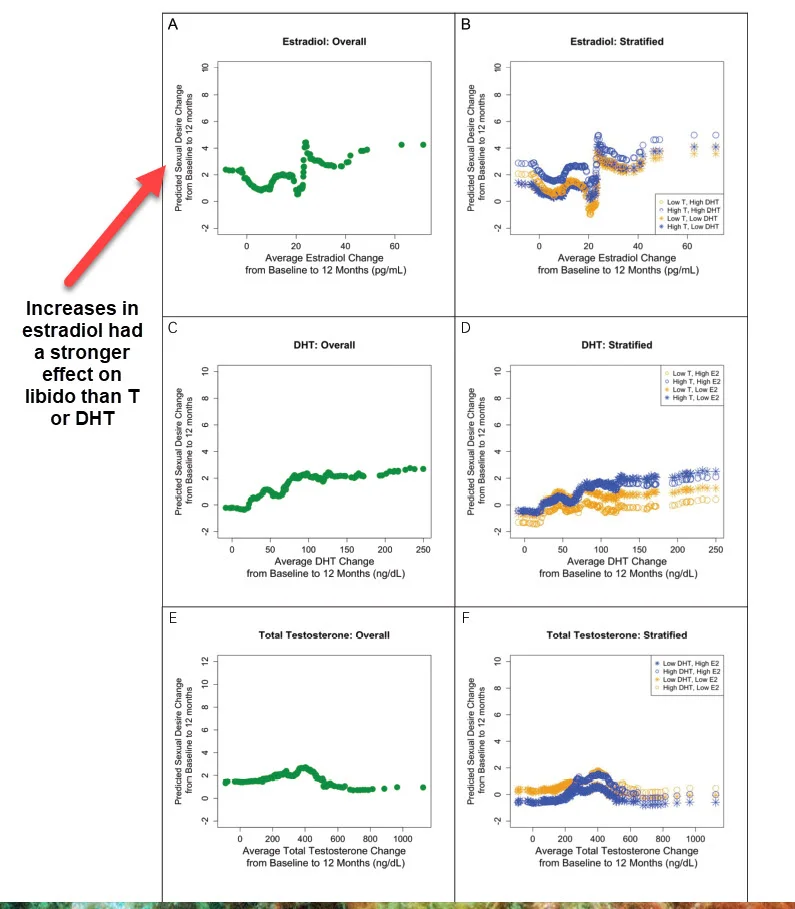 estradiol libido men.webp