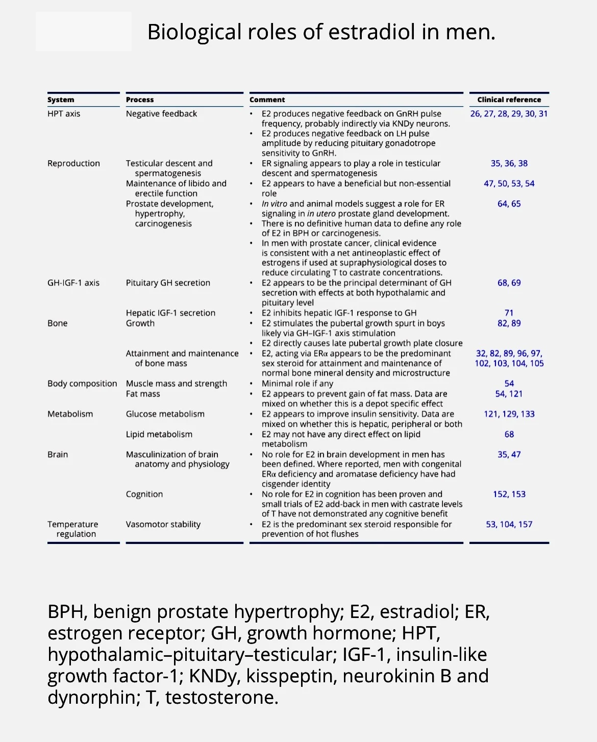 estradiol role in men.jpg