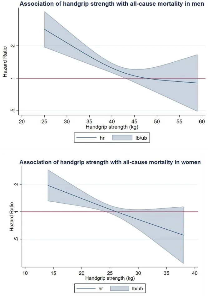 handgrip strength graph.webp