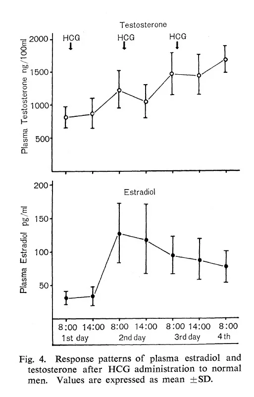 hcg 300 qd 3 days estradiol.webp