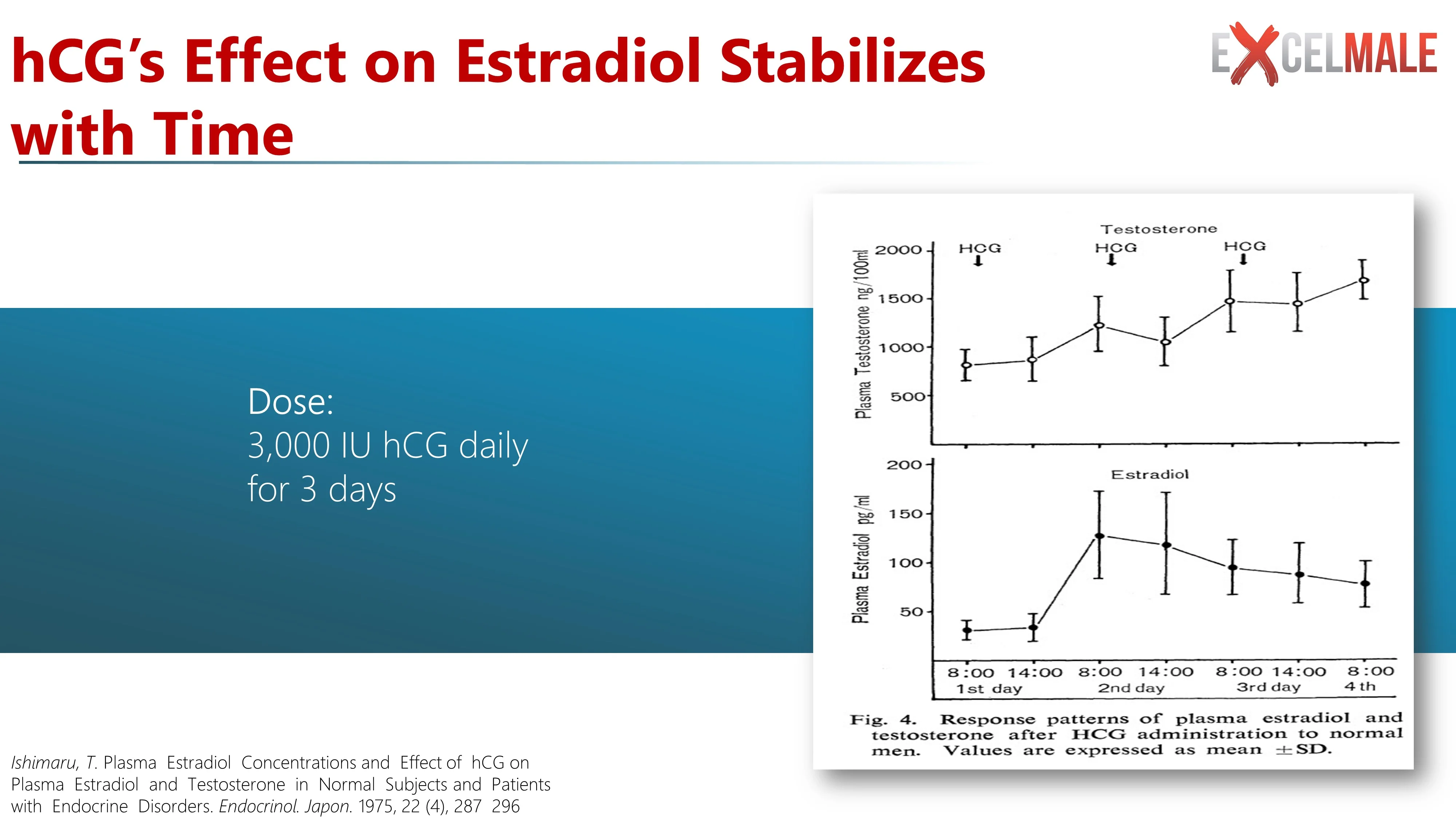 hcg effect on estradiol.webp