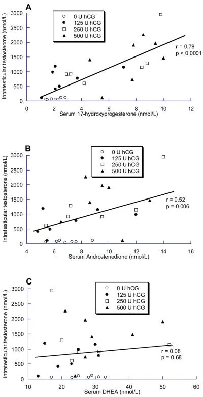 hcg hormones.jpg