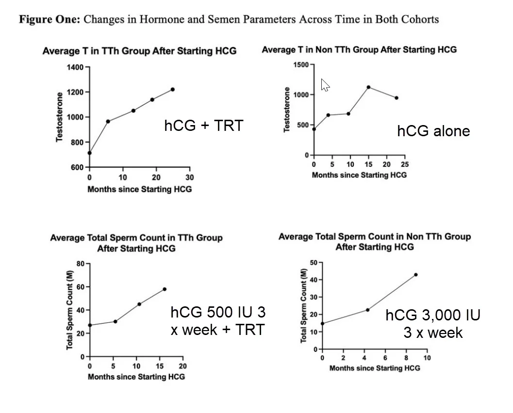 hcg plus TRT vs hcg monotherapy.webp