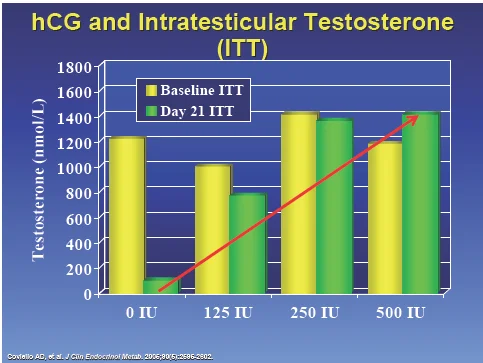 hcg-testicularT.webp