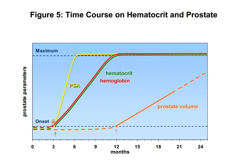 hematocritprostatetrt.webp