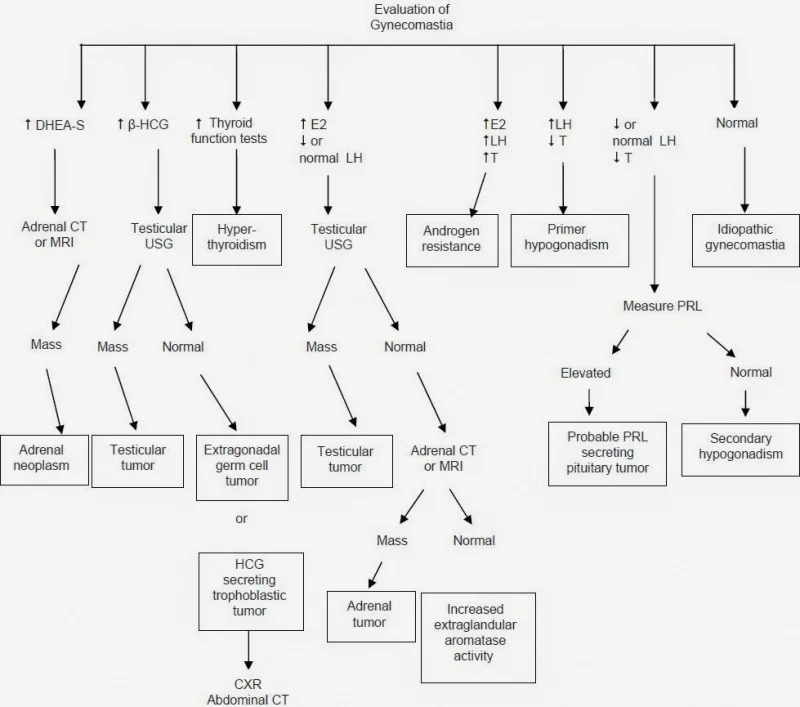 Hormonal evaluation of gynecomastia.webp