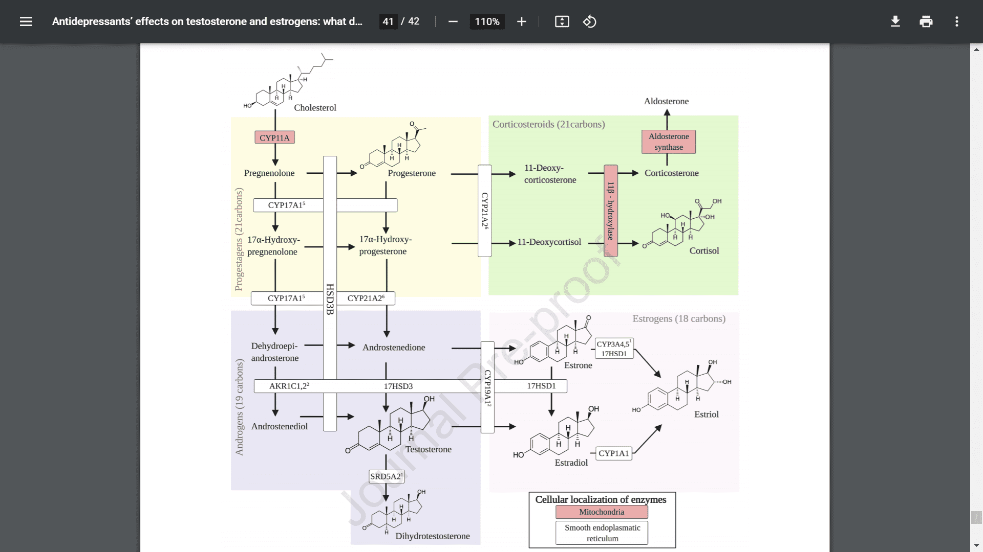 hormone cascade.png