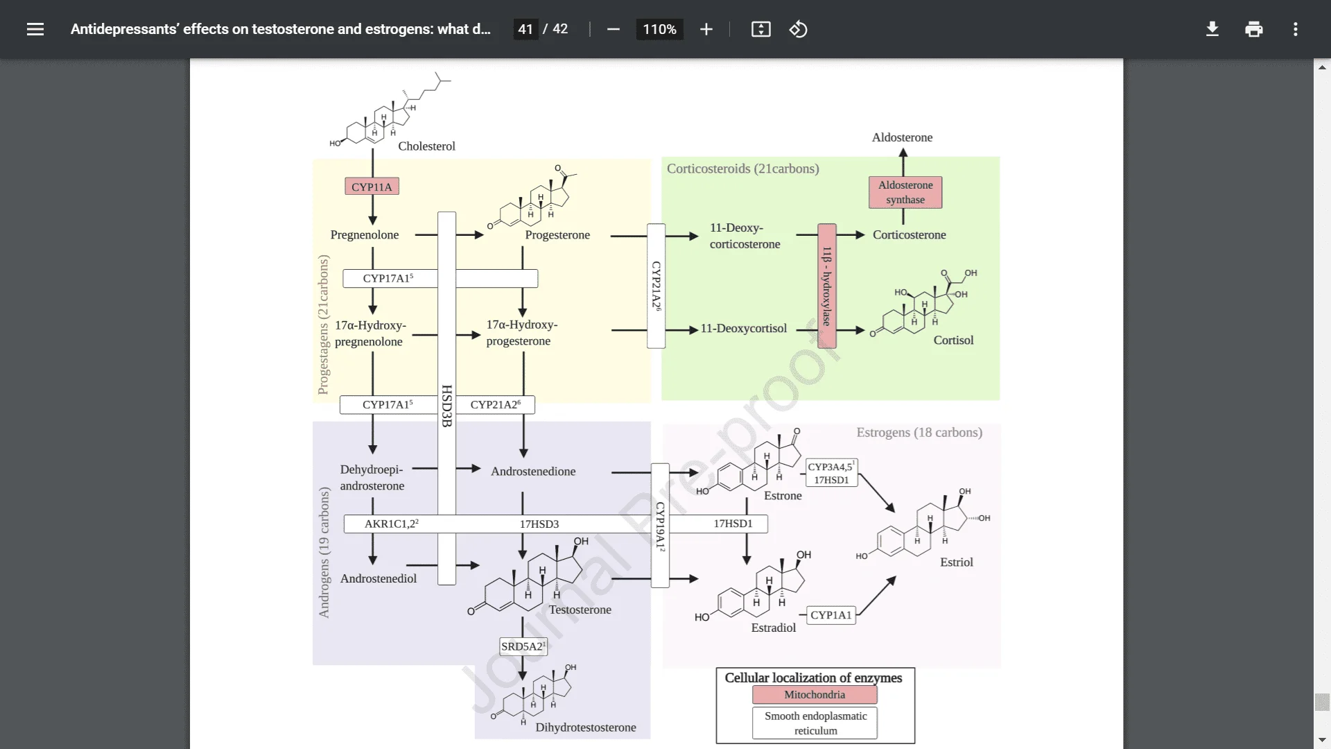 hormone cascade.webp