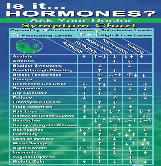 hormone chart.webp