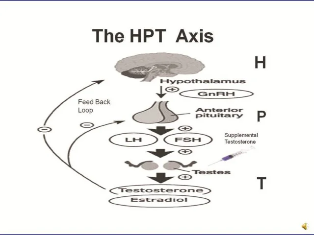 hpta-axis.jpg