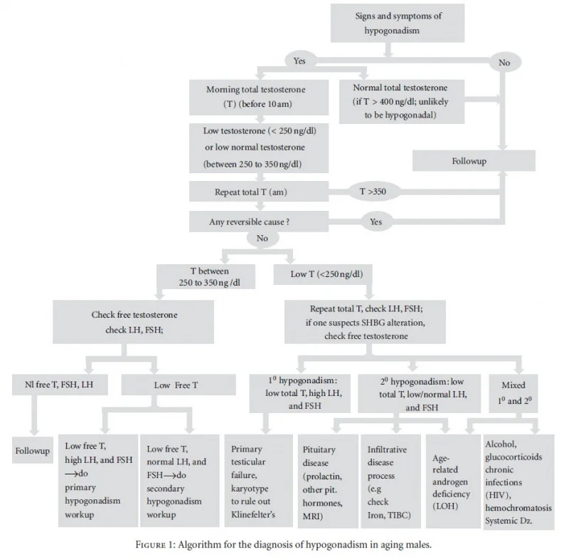 hypogonadism algorithm.webp