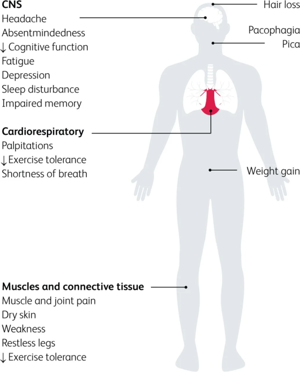 iron deficiency without anemia.jpg