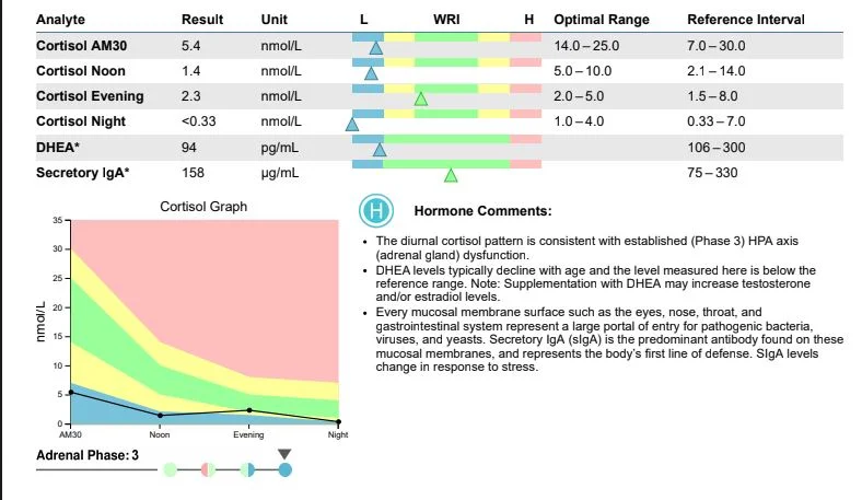 LEF_AdrenahHormoneReport.JPG