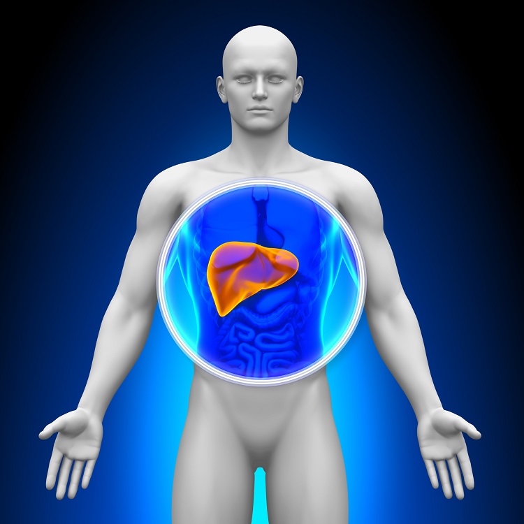 liver test panel.jpg