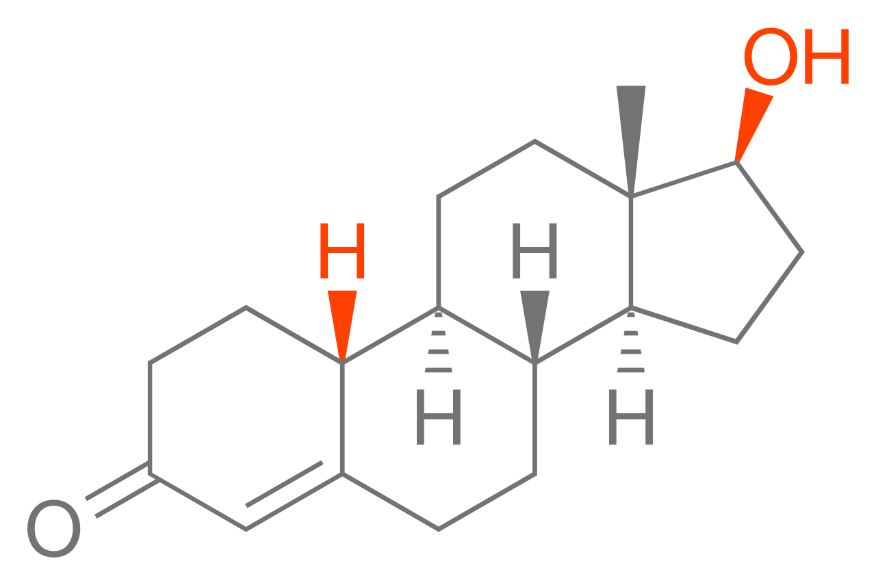 nandrolone molecule vs testosterone.png