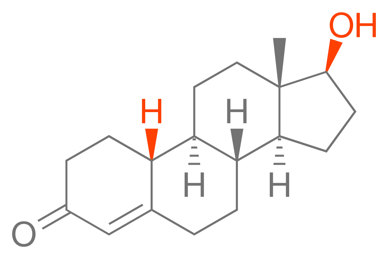 nandrolone molecule vs testosterone.webp