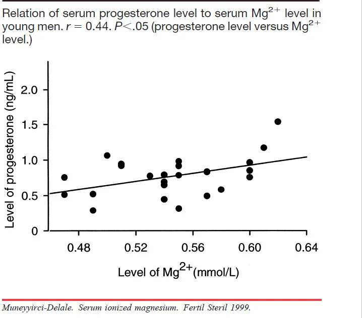 progesterone and magnesium.jpg