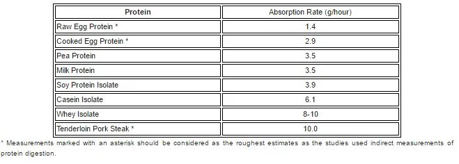 Protein Digestion rates.webp