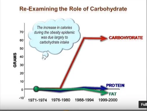 Role of Carbohydrates.webp