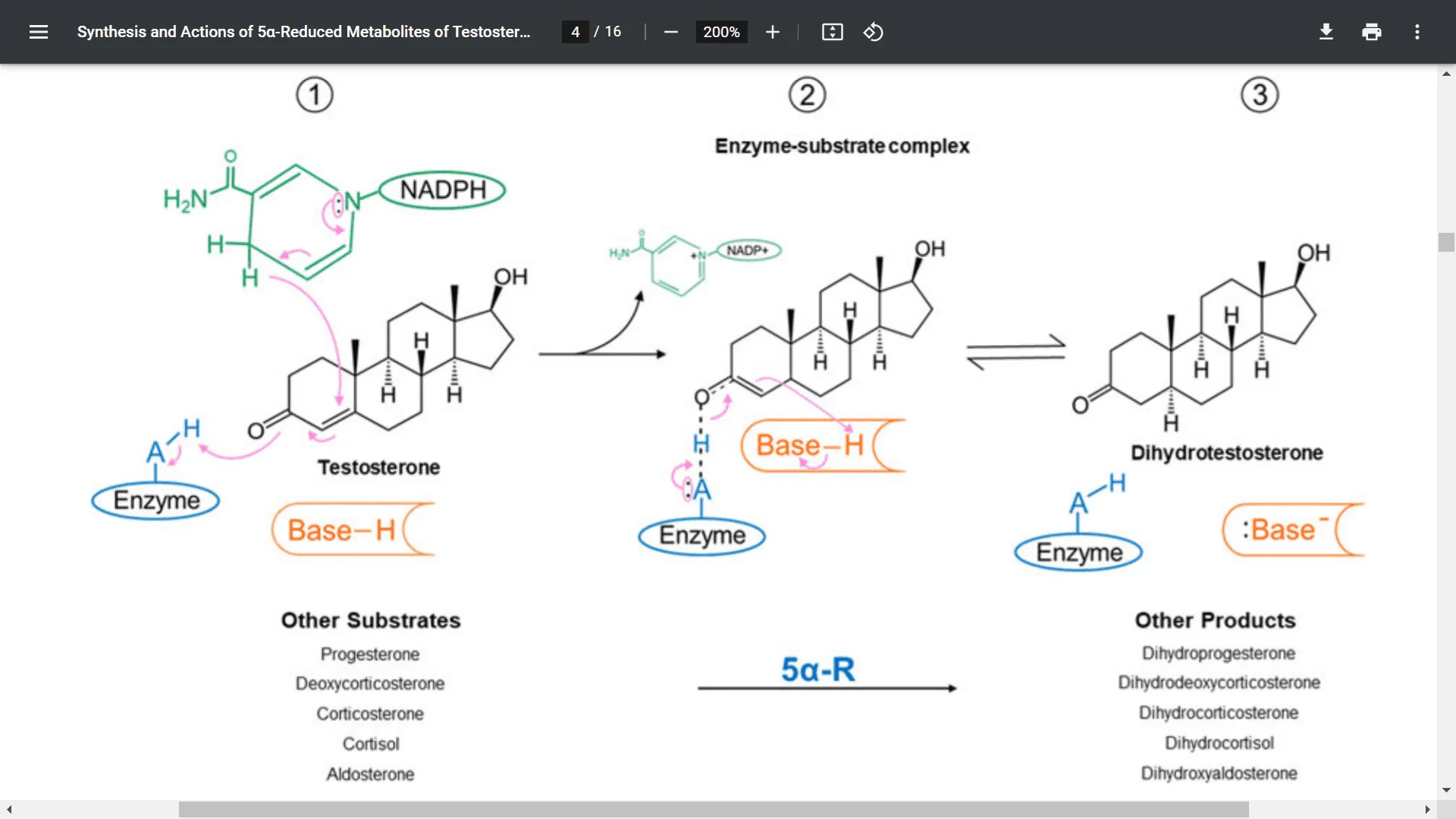 Screenshot (10185).webp