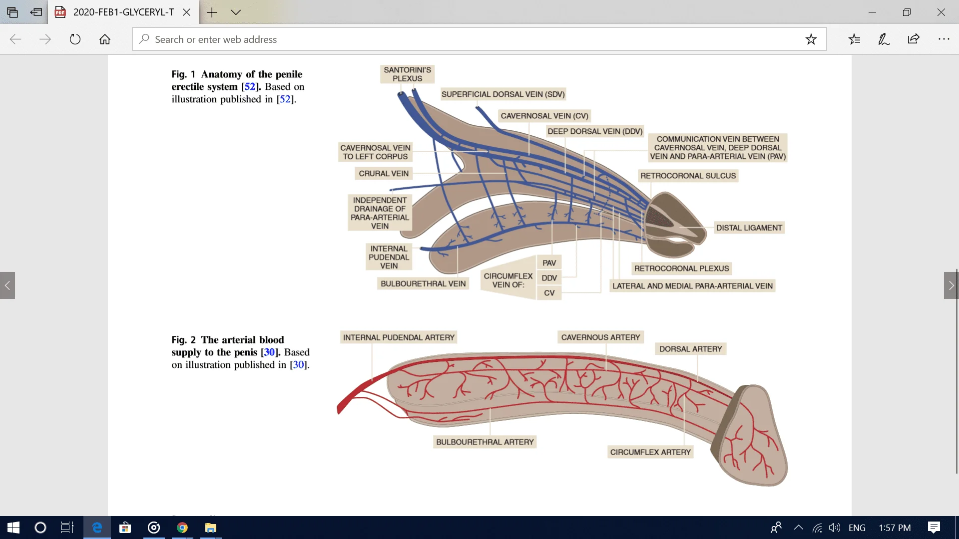 Screenshot (1064).webp