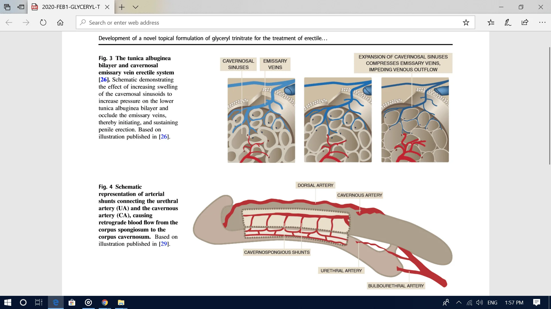 Screenshot (1065).webp