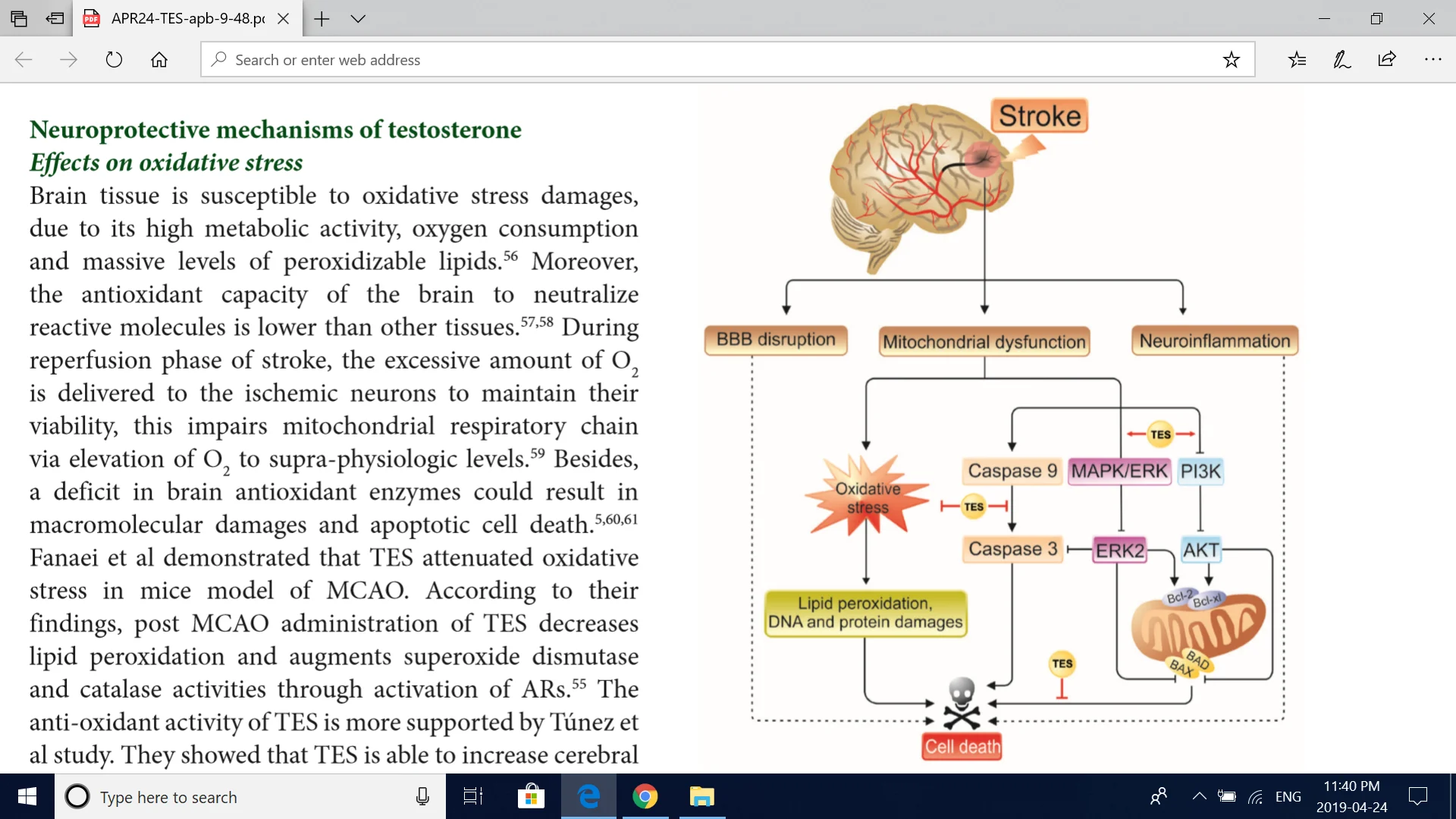 Screenshot (146).webp