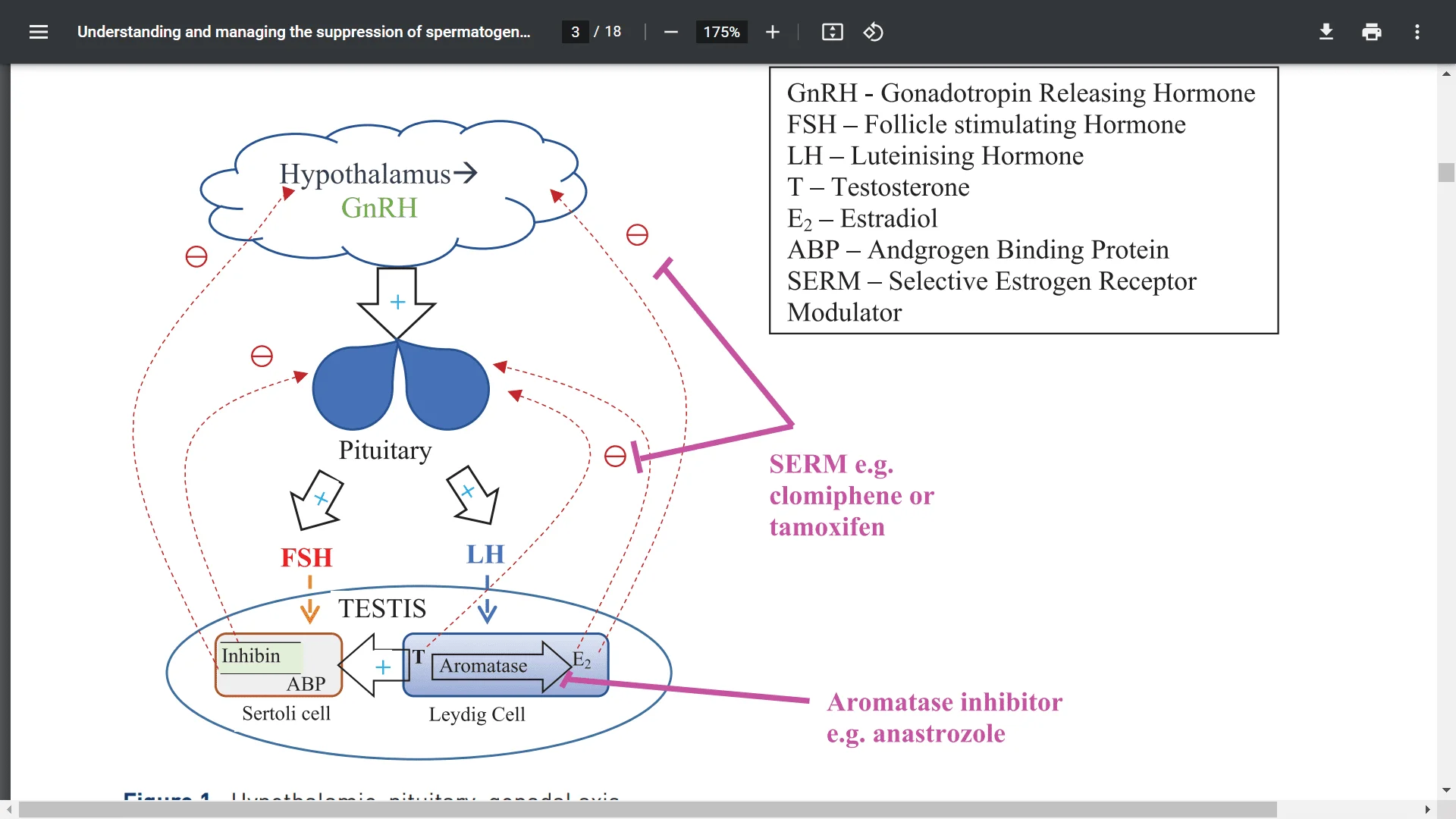 Screenshot (15128).webp