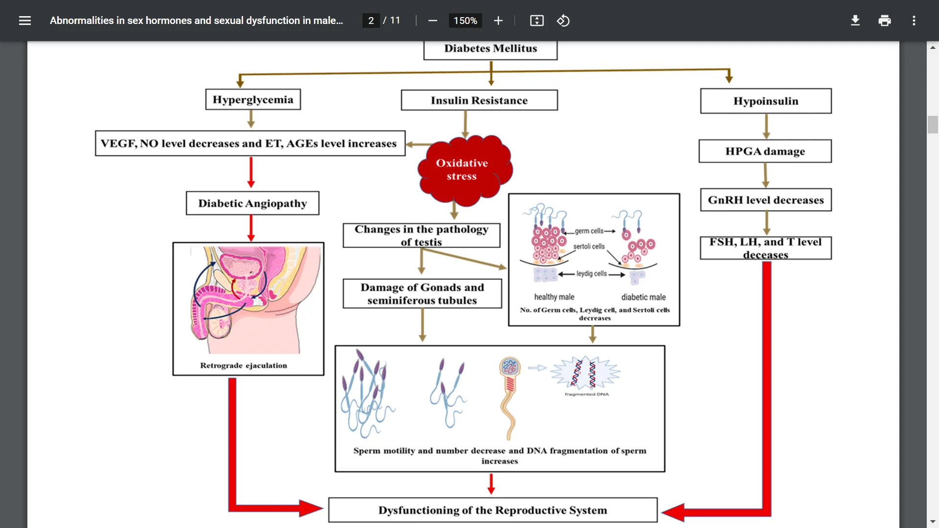 Screenshot (18772).webp