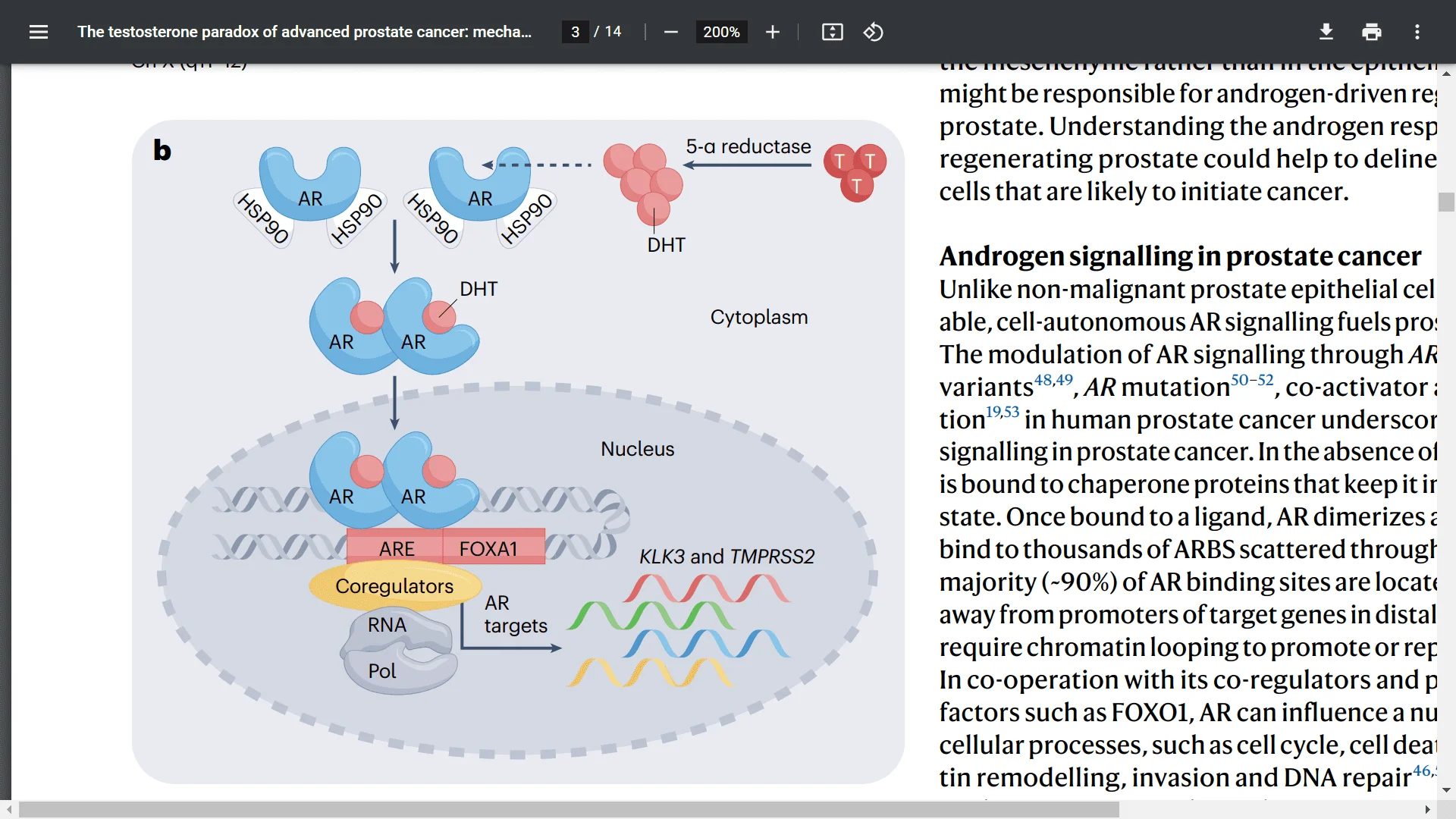 Screenshot (19202).webp