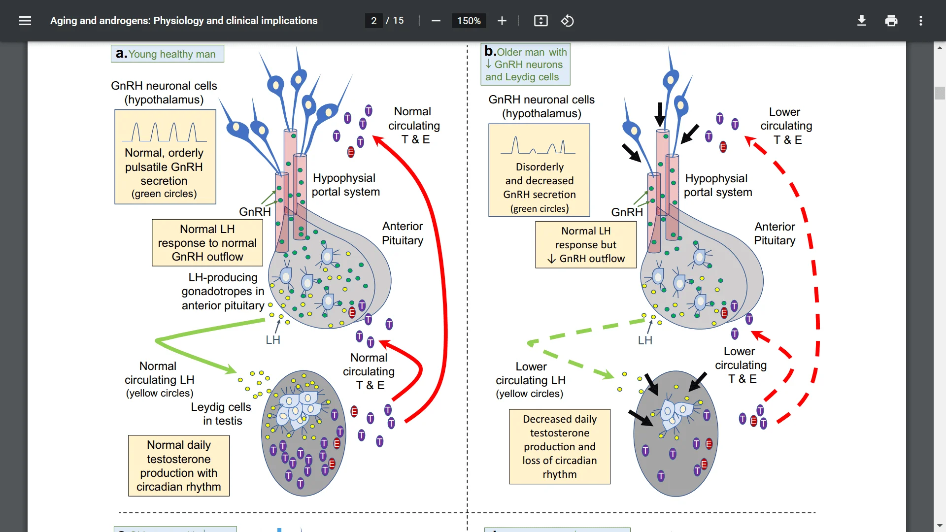 Screenshot (19457).webp