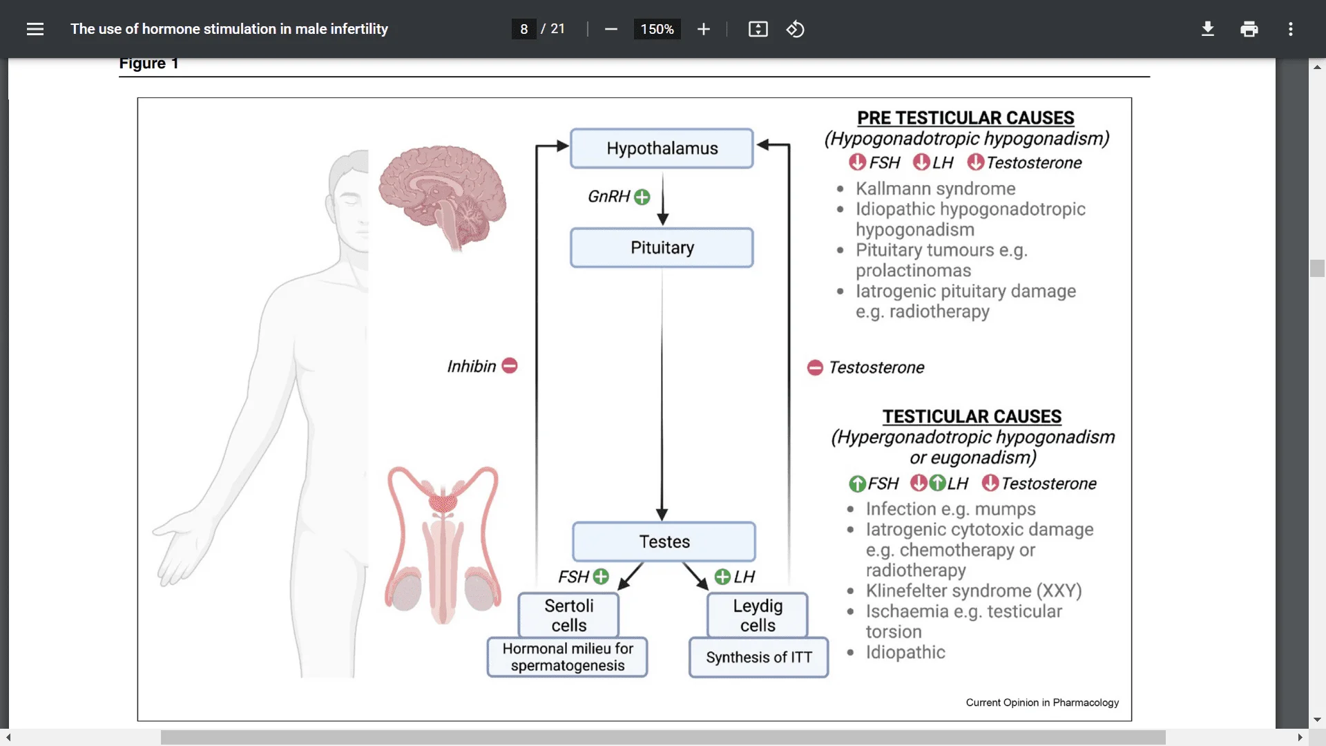 Screenshot (19728).webp