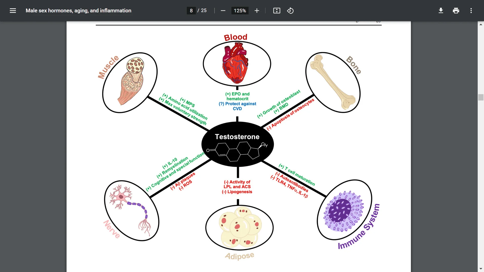 Screenshot (19745).webp