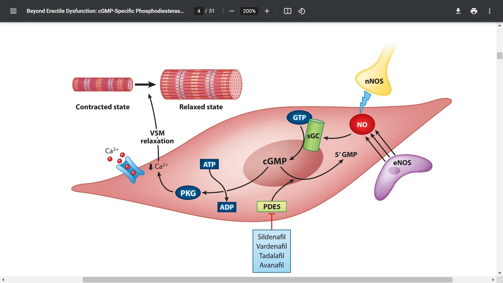 Screenshot (19801).webp