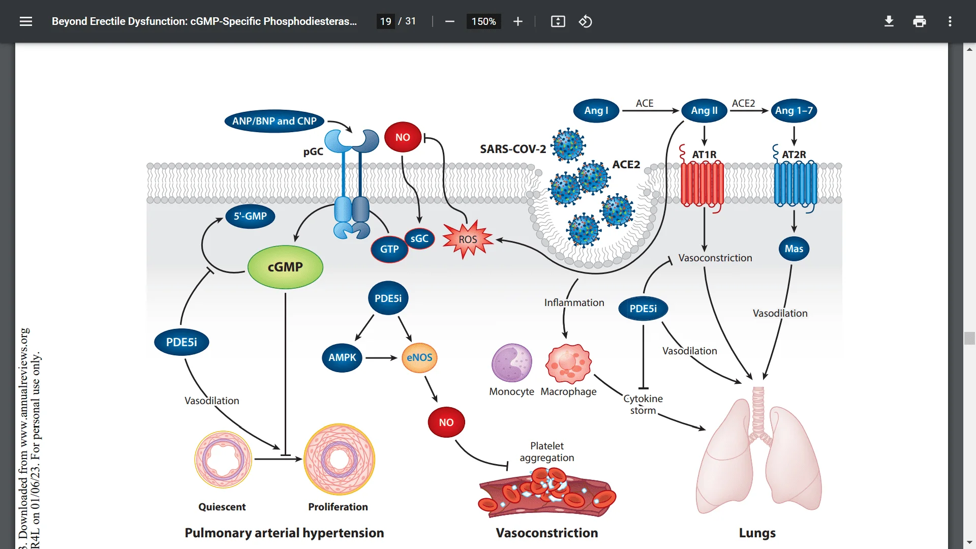 Screenshot (19810).webp