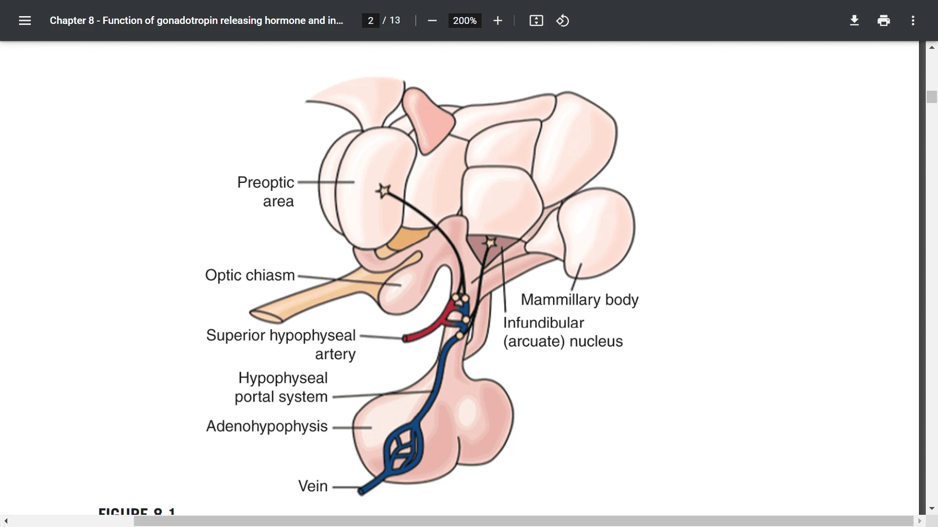 Screenshot (20199).webp