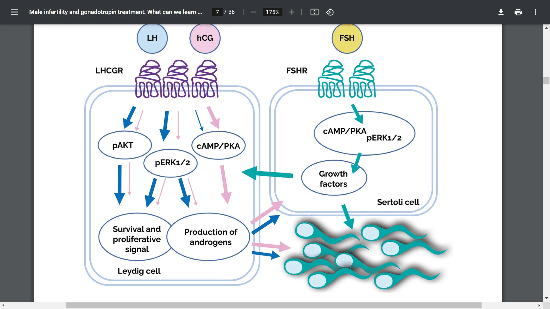 Screenshot (20248).webp