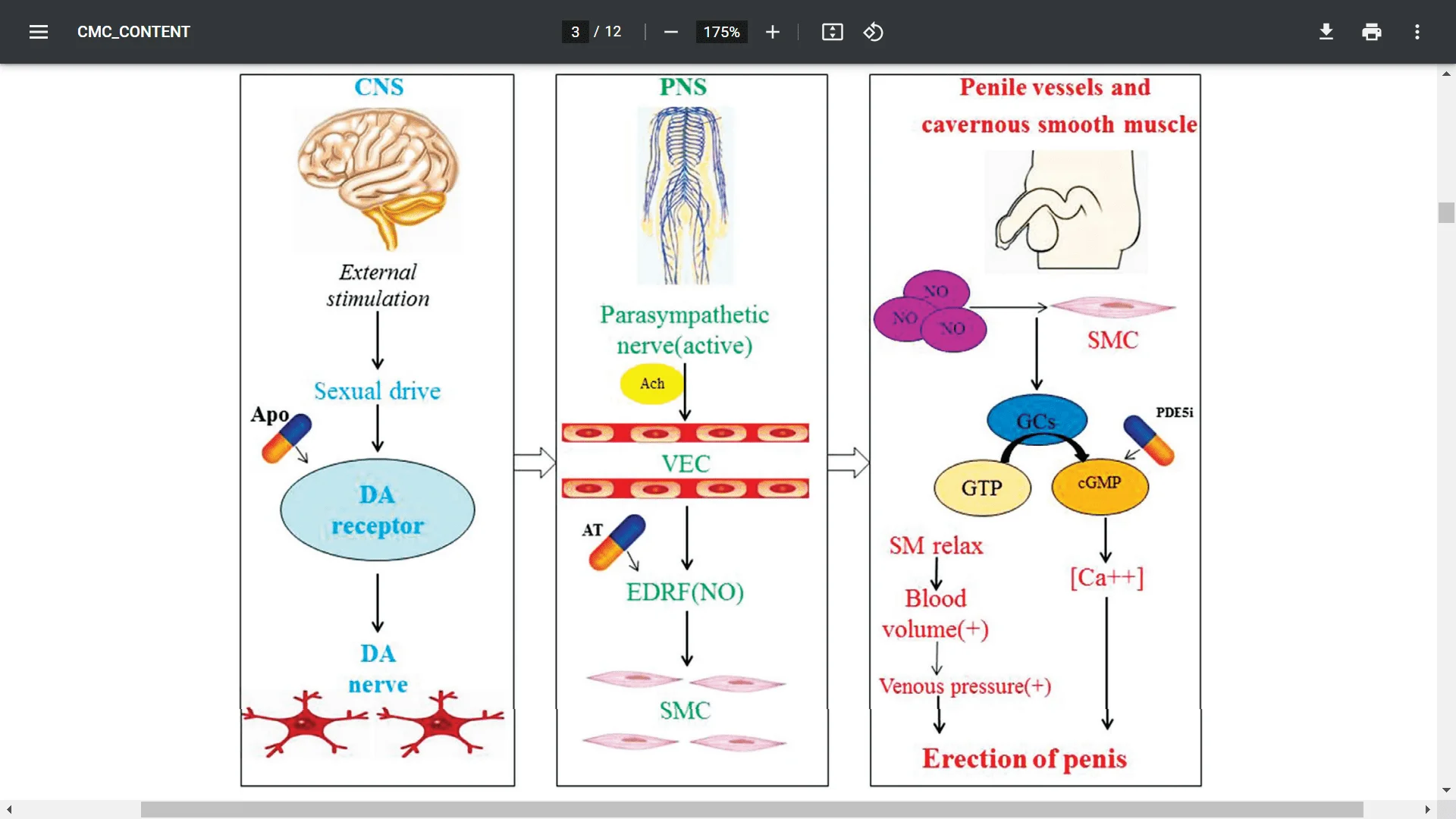 Screenshot (20405).webp