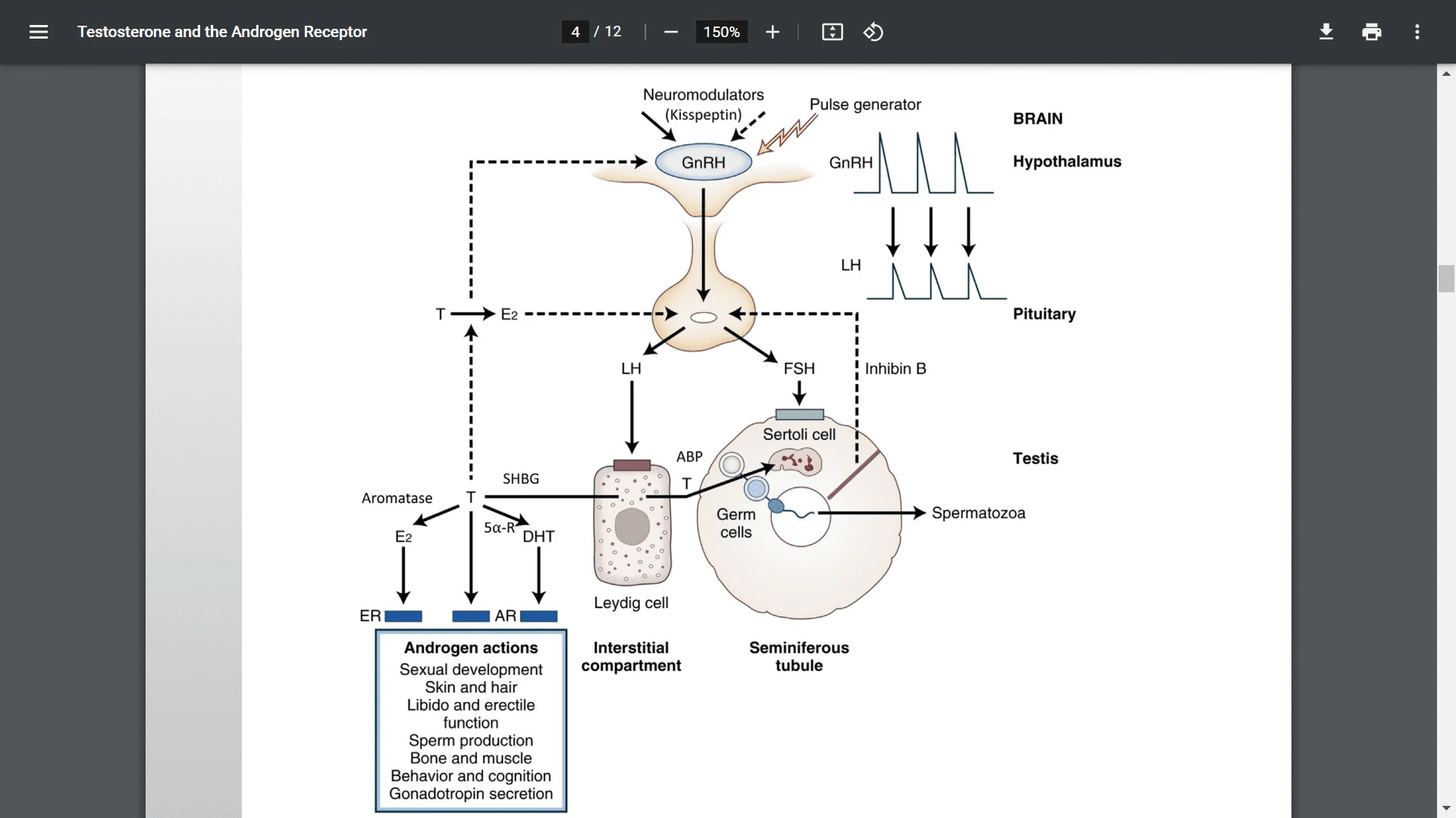 Screenshot (20849).webp