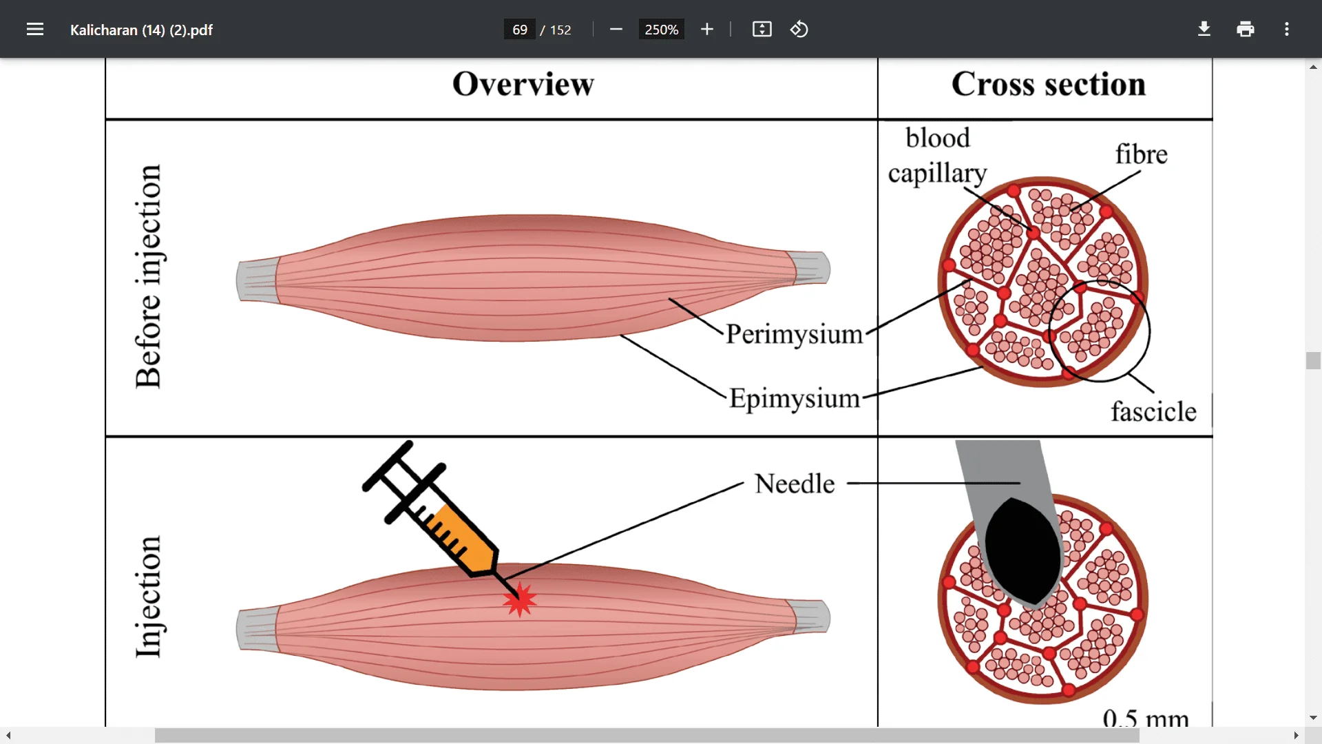 Screenshot (27062).webp