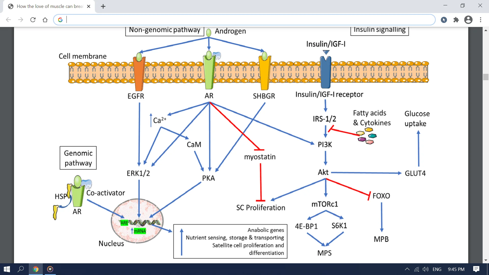 Screenshot (2842).webp