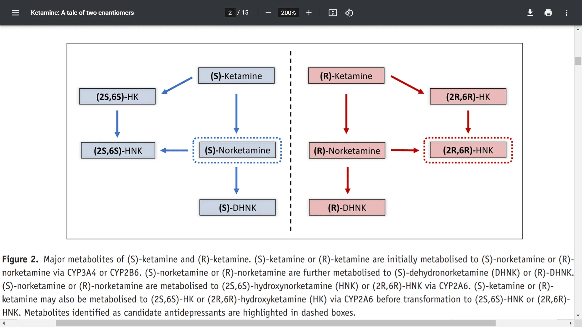 Screenshot (3952).webp