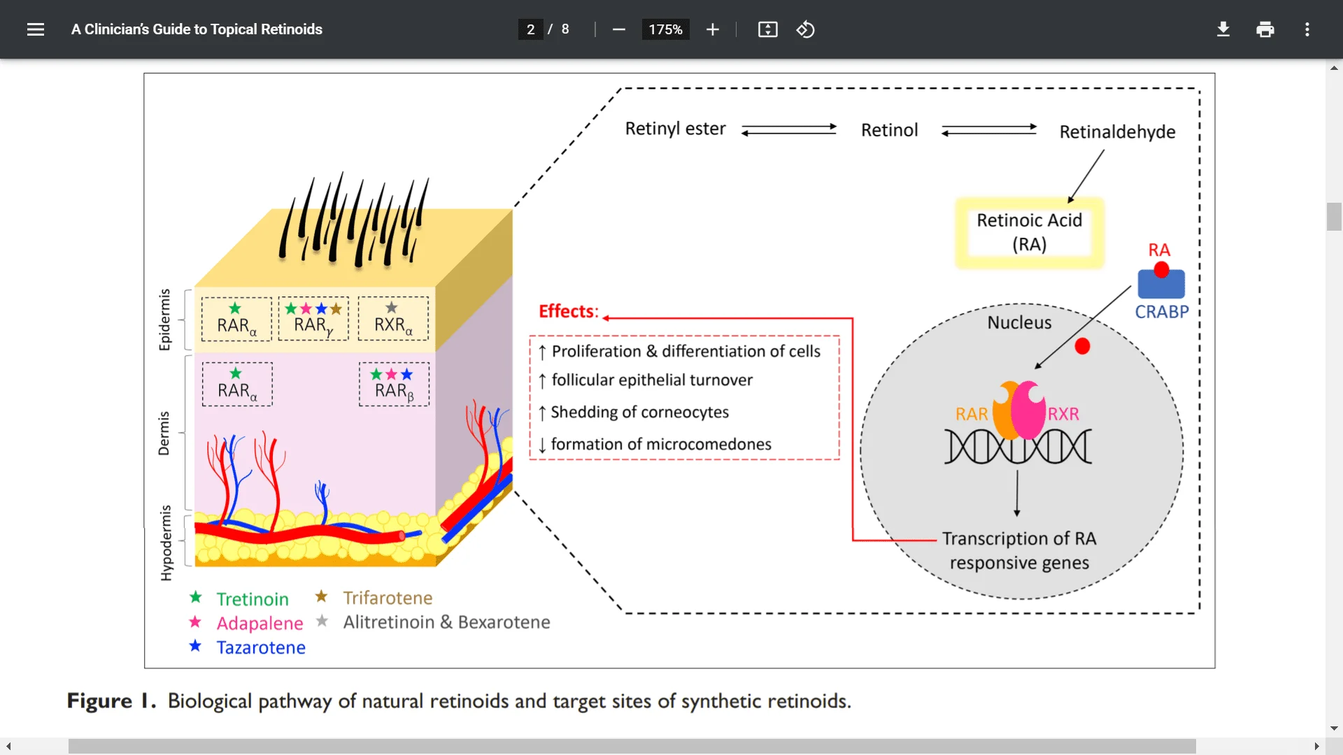 Screenshot (6322).webp